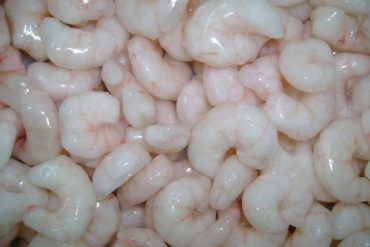 pud-shrimps-500x500